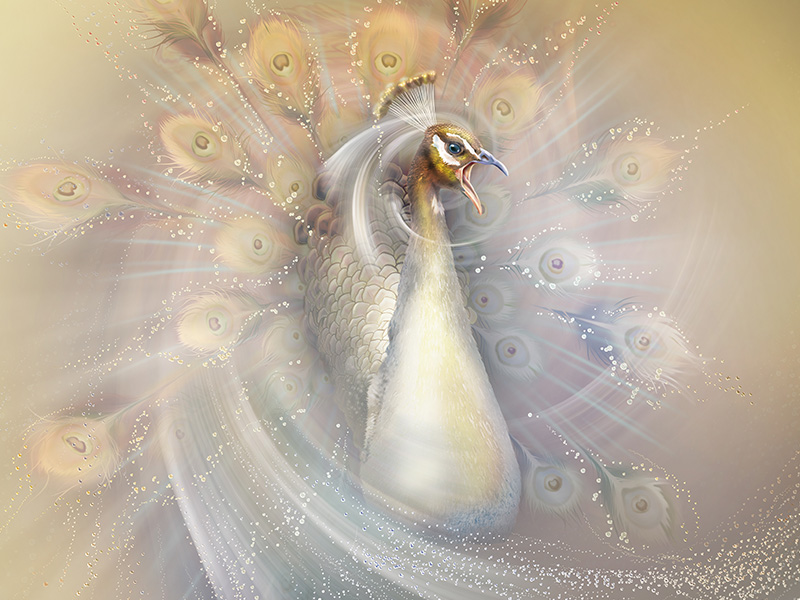 Abundance meditation